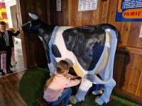 Zdjcie WhatsApp 2025-10-30 o 19.47.27_d982588b.jpg